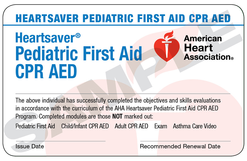 American Heart Association Heart Saver® Pediatric Cpr Aed And First Aid