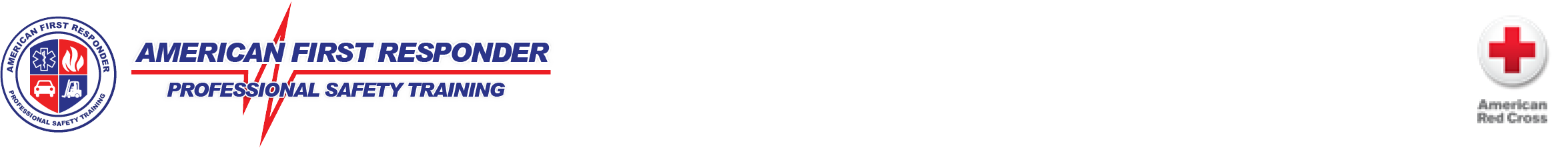 Professional Safety Training CPR & First-Aid  BLS ACLS PALS Los Angeles