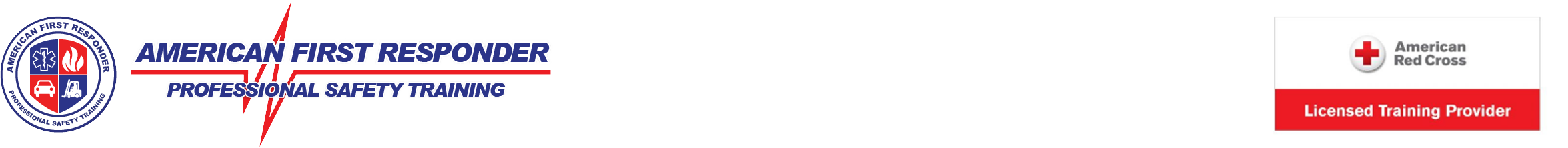 Professional Safety Training CPR & First-Aid  BLS ACLS PALS Los Angeles